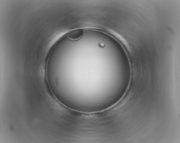 X0000115821415200911271128