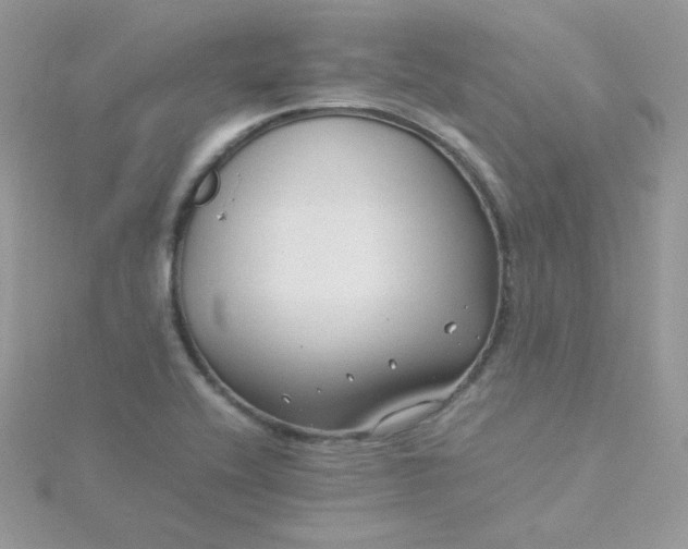 X0000115821416200911271128