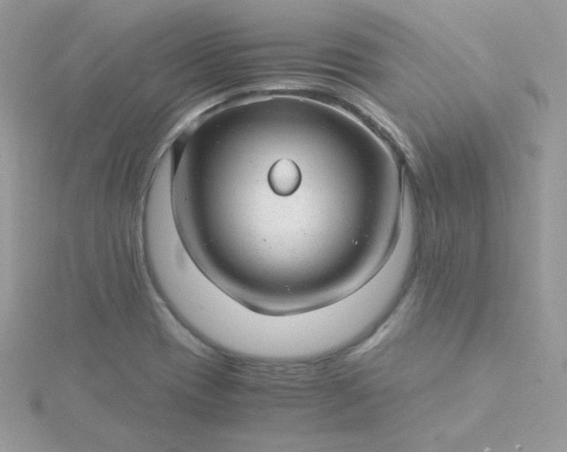 X0000115821417200911271128