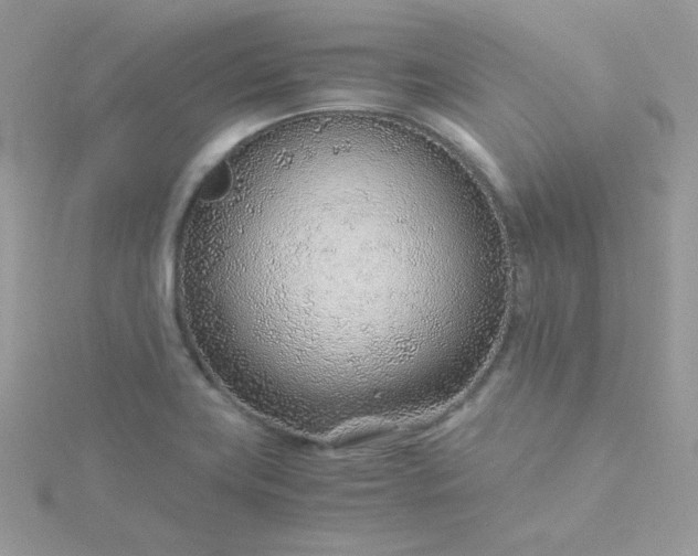 X0000115821419200911271128