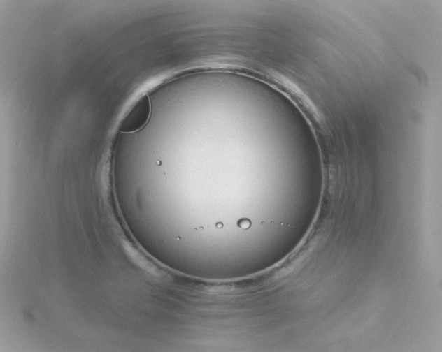 X0000115821421200911271128