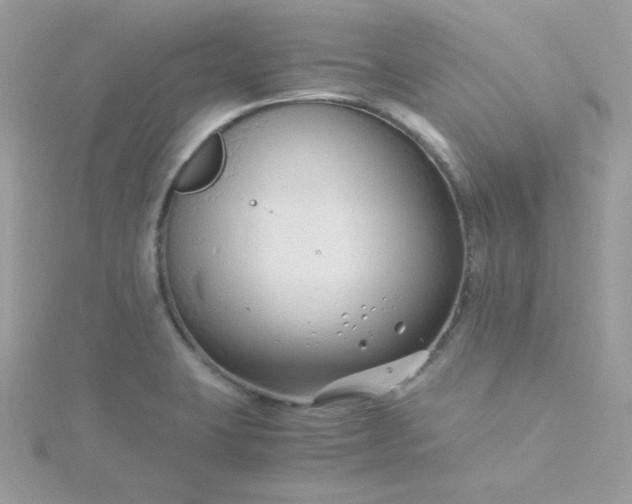 X0000115821423200911271128