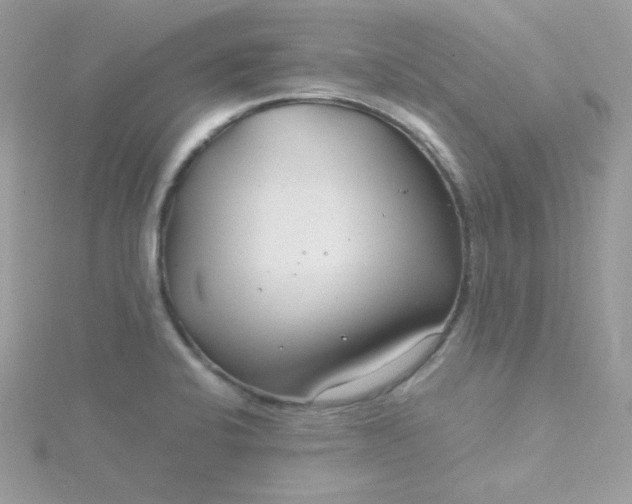 X0000115821424200911271128