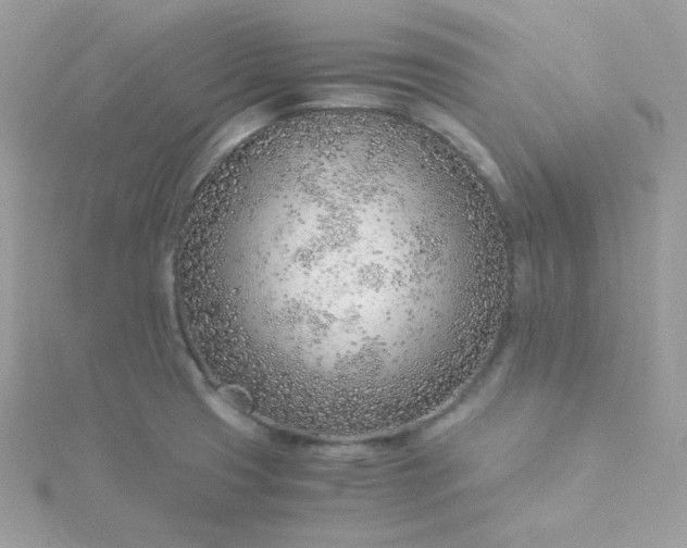 X0000115821425200911271128