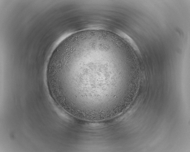 X0000115821427200911271128