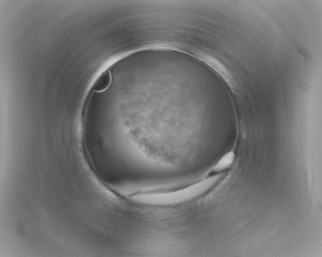 X0000115821428200911271128