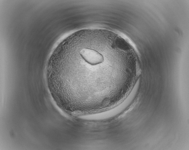 X0000115821429200911271128