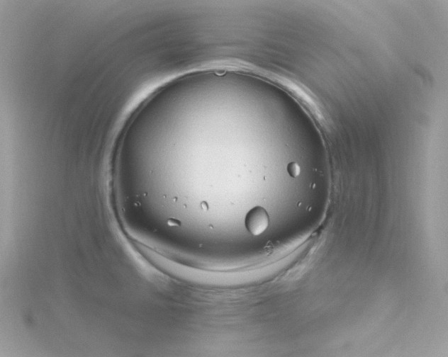 X0000115821430200911271128