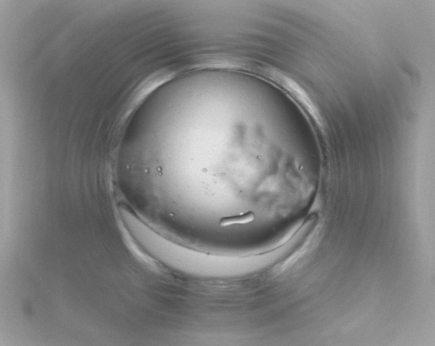 X0000115821433200911271128