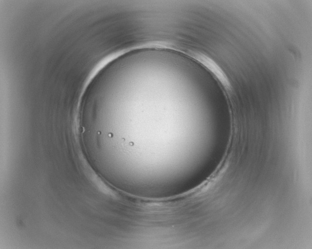 X0000115821436200911271128