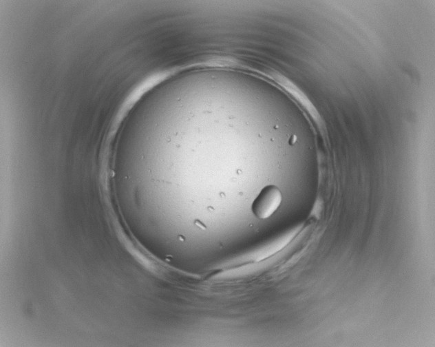 X0000115821437200911271128