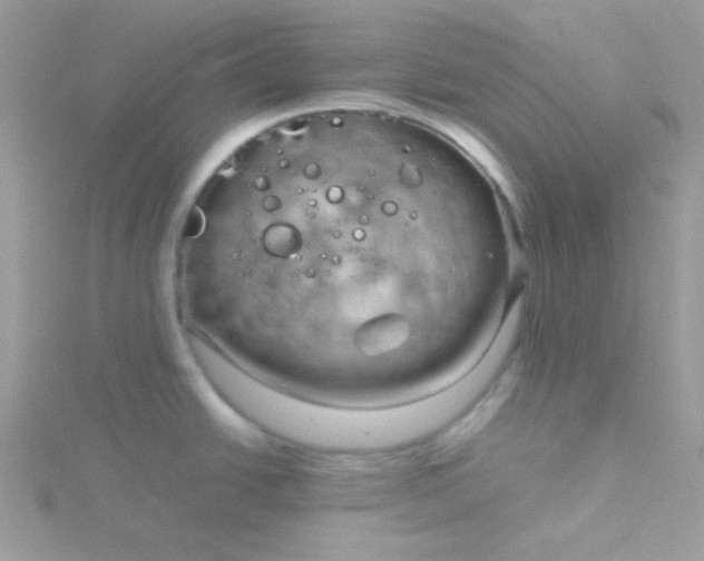 X0000115821438200911271128