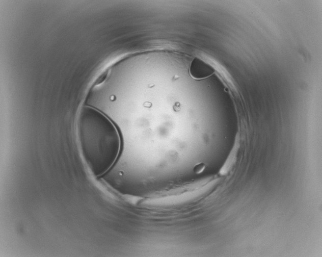 X0000115821439200911271128