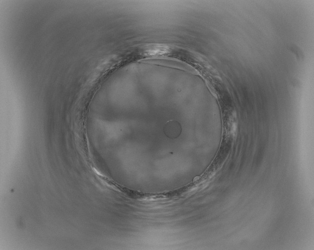 X0000115821441200911271128