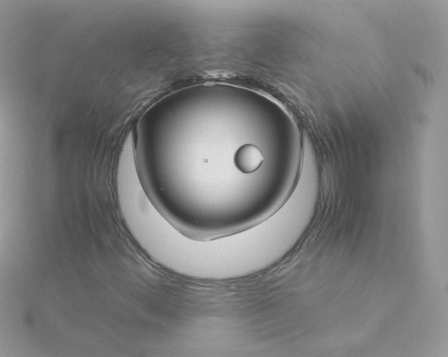 X0000115821444200911271127