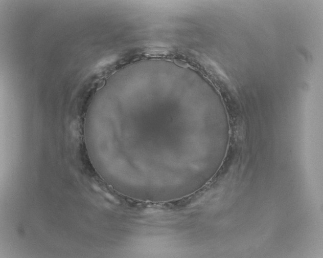 X0000115821445200911271127