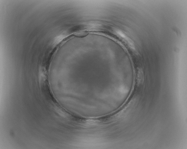 X0000115821449200911271127