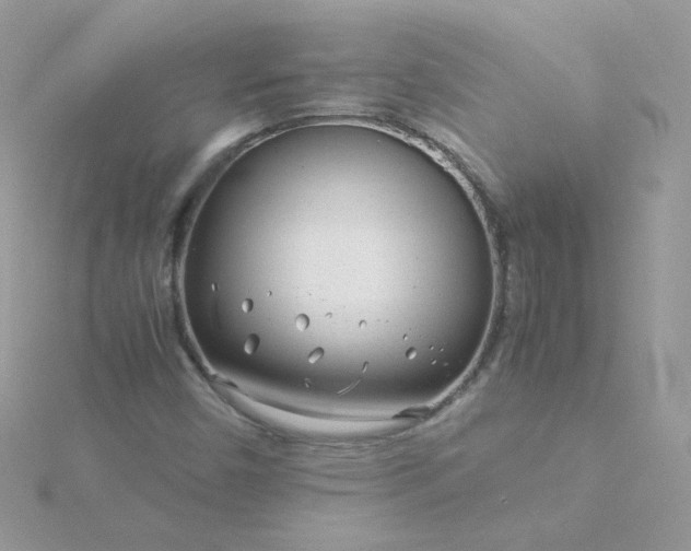 X0000115821450200911271127