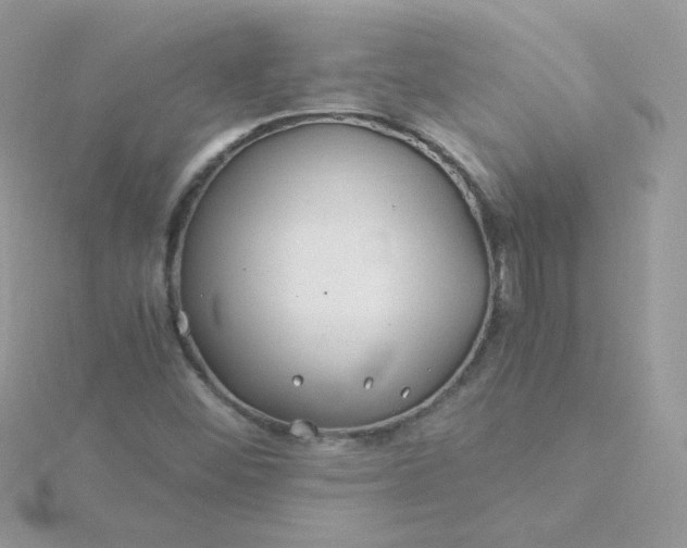 X0000115821452200911271127