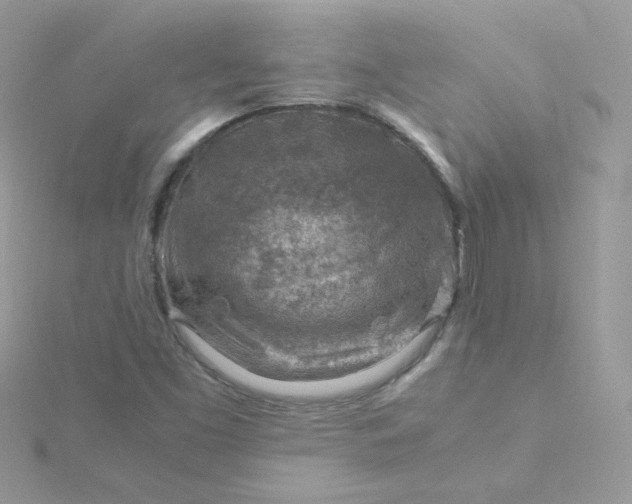 X0000115821453200911271127