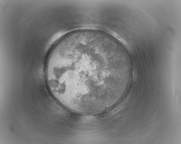 X0000115821454200911271127