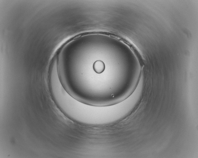 X0000115821460200911271127