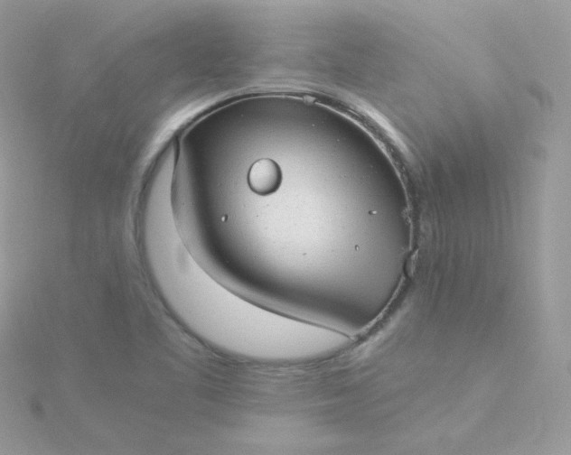 X0000115821461200911271127