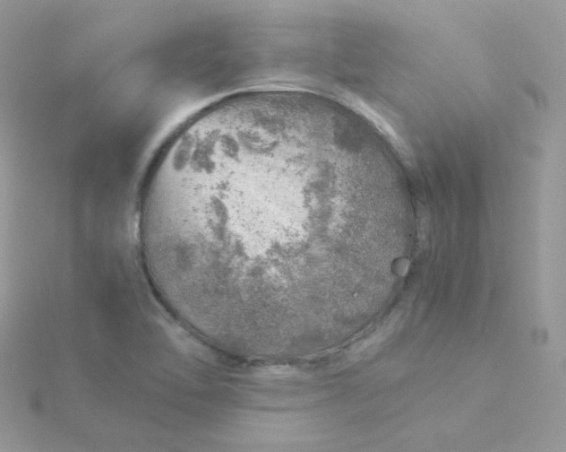 X0000115821462200911271127