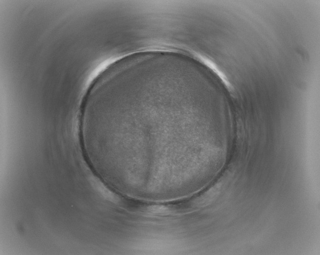 X0000115821463200911271127