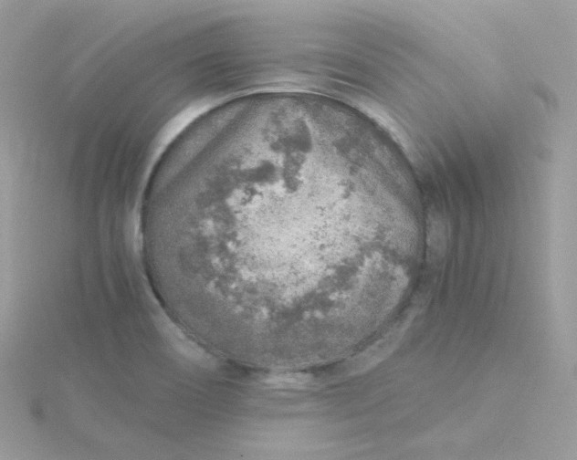 X0000115821466200911271127