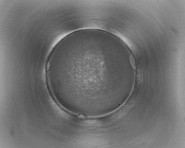 X0000115821468200911271127