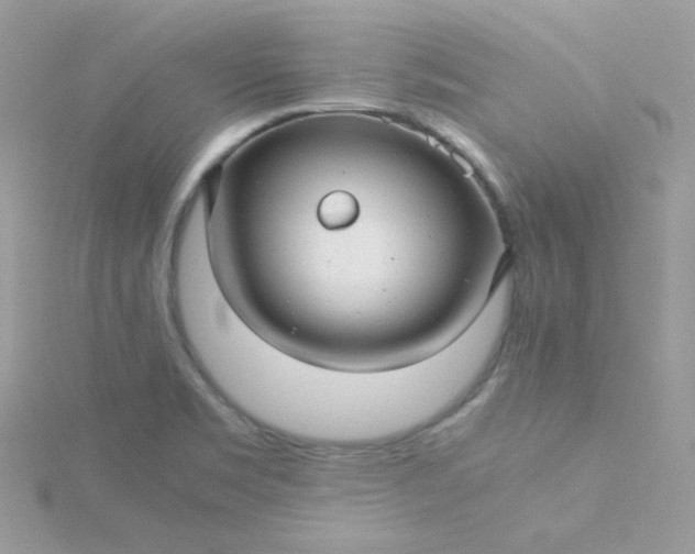 X0000115821469200911271127