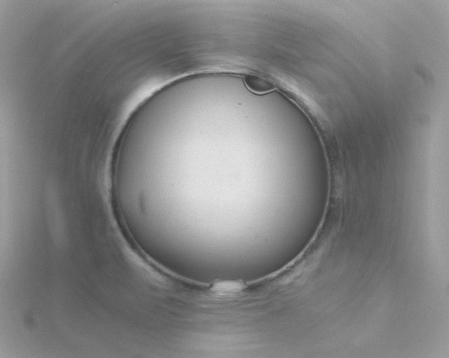 X0000115821471200911271127