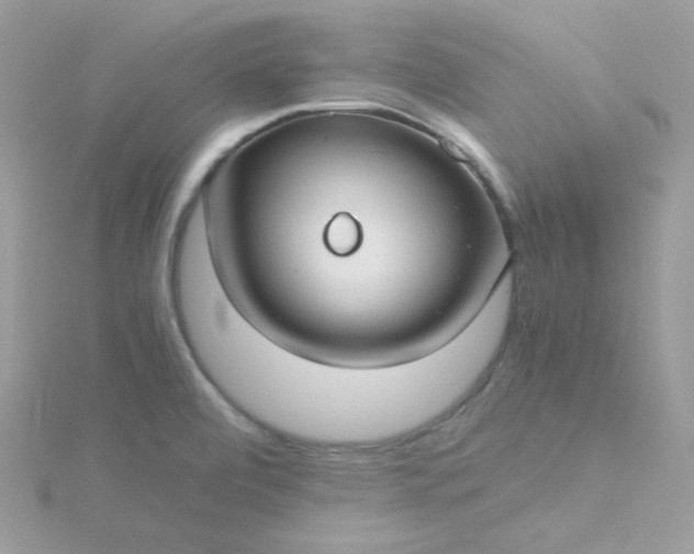 X0000115821472200911271127