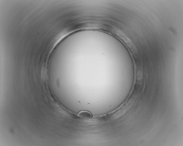 X0000115821473200911271127