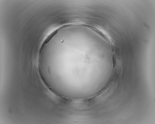 X0000115821477200911271127