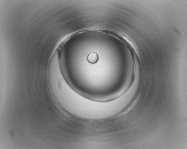 X0000115821481200911271127