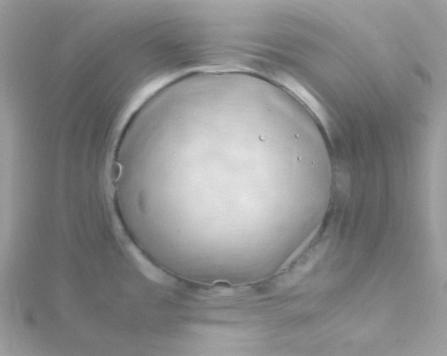 X0000115821485200911271127