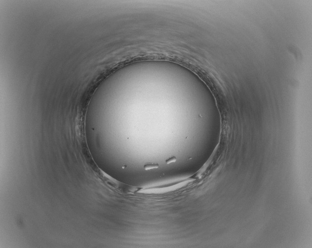 X0000115821490200911271126