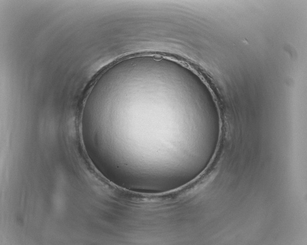 X0000115821497200911271126