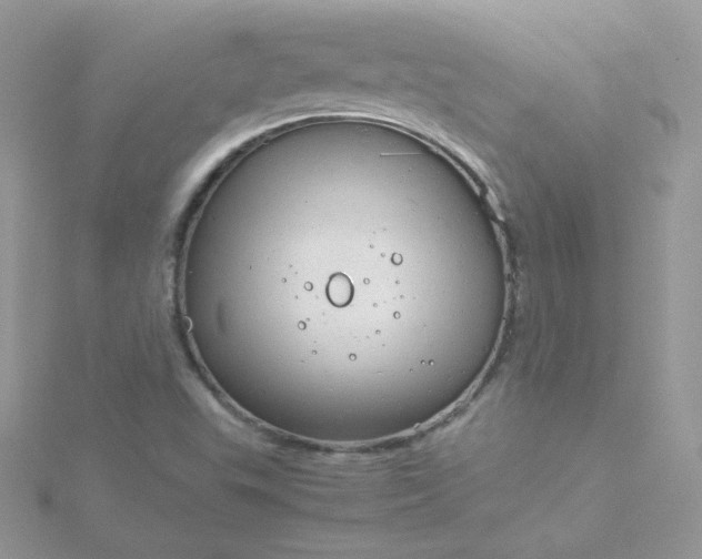 X0000115821503200911271126