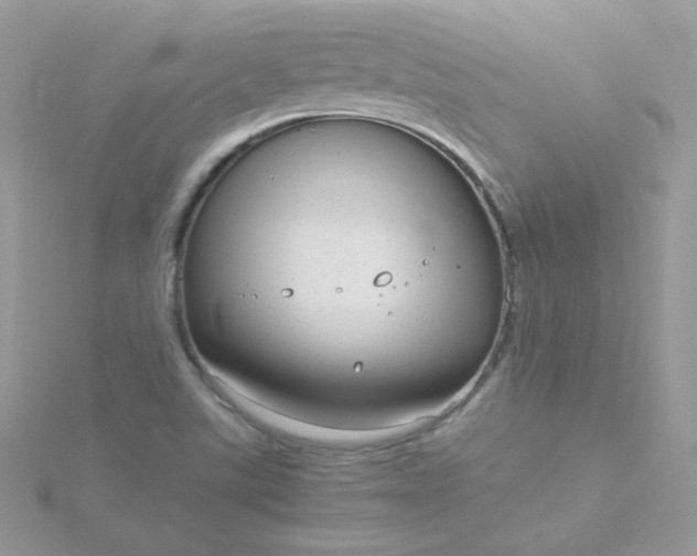 X0000115821507200911271127