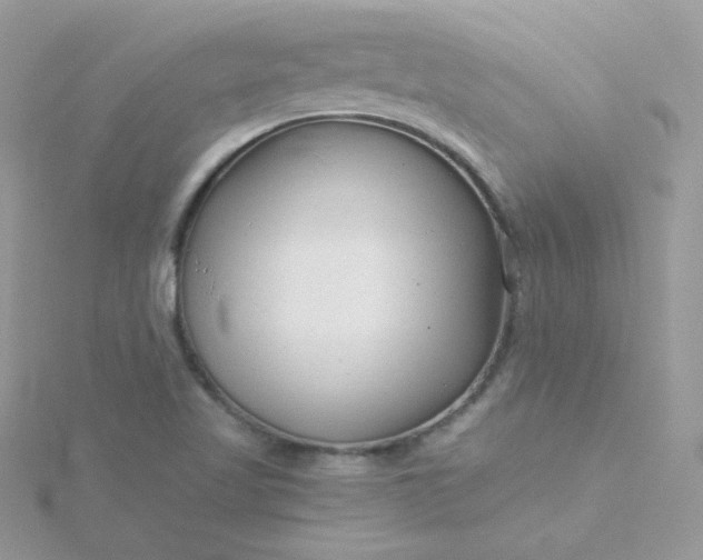 X0000115821509200911271127