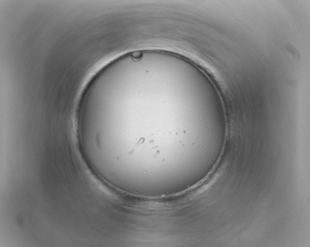 X0000115821517200911271127