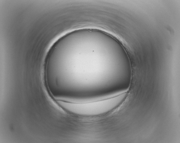 X0000115821518200911271127