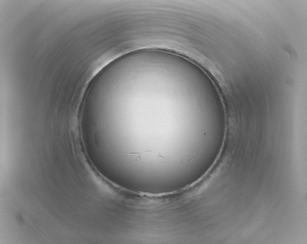 X0000115821521200911271127