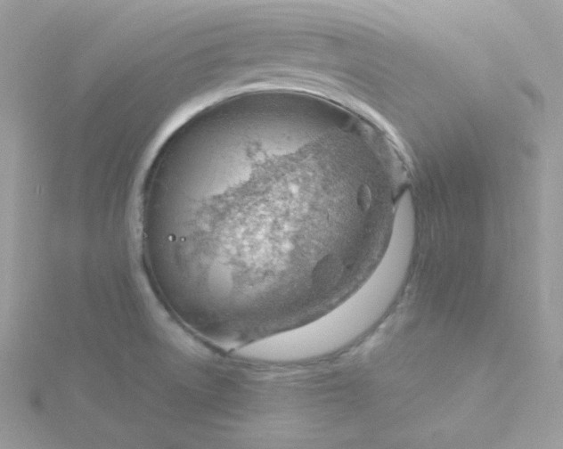 X0000115821522200911271127