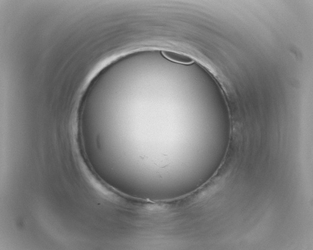 X0000115821523200911271127