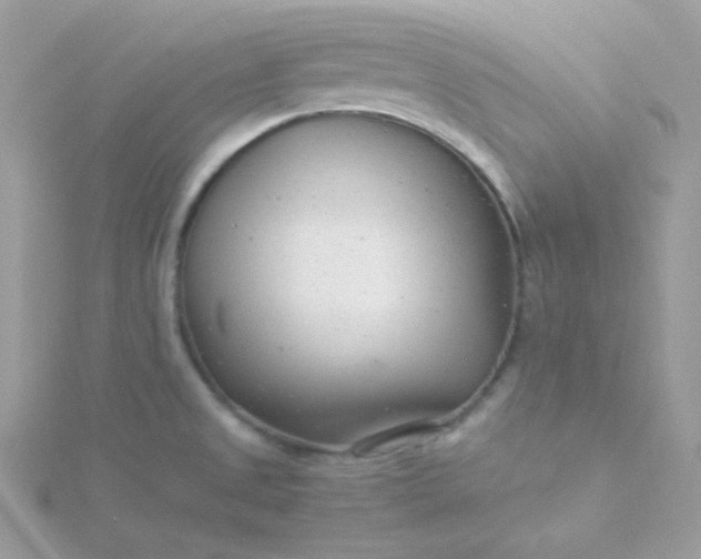 X0000115821525200911271127