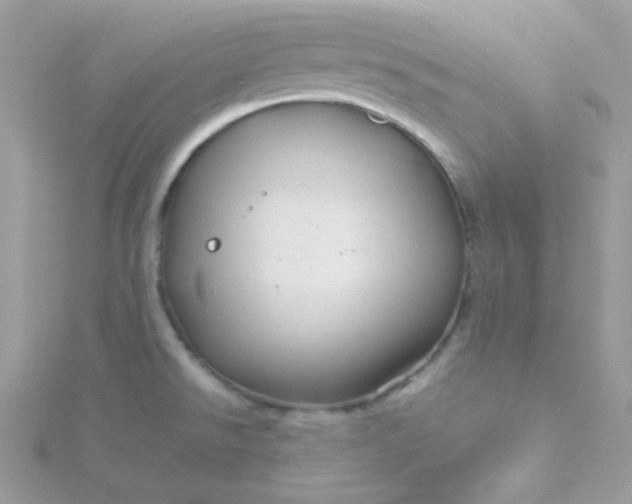 X0000115821526200911271127